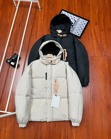 Louis Vuitton LV high-end down jacket peak neutral down jacket-4316
